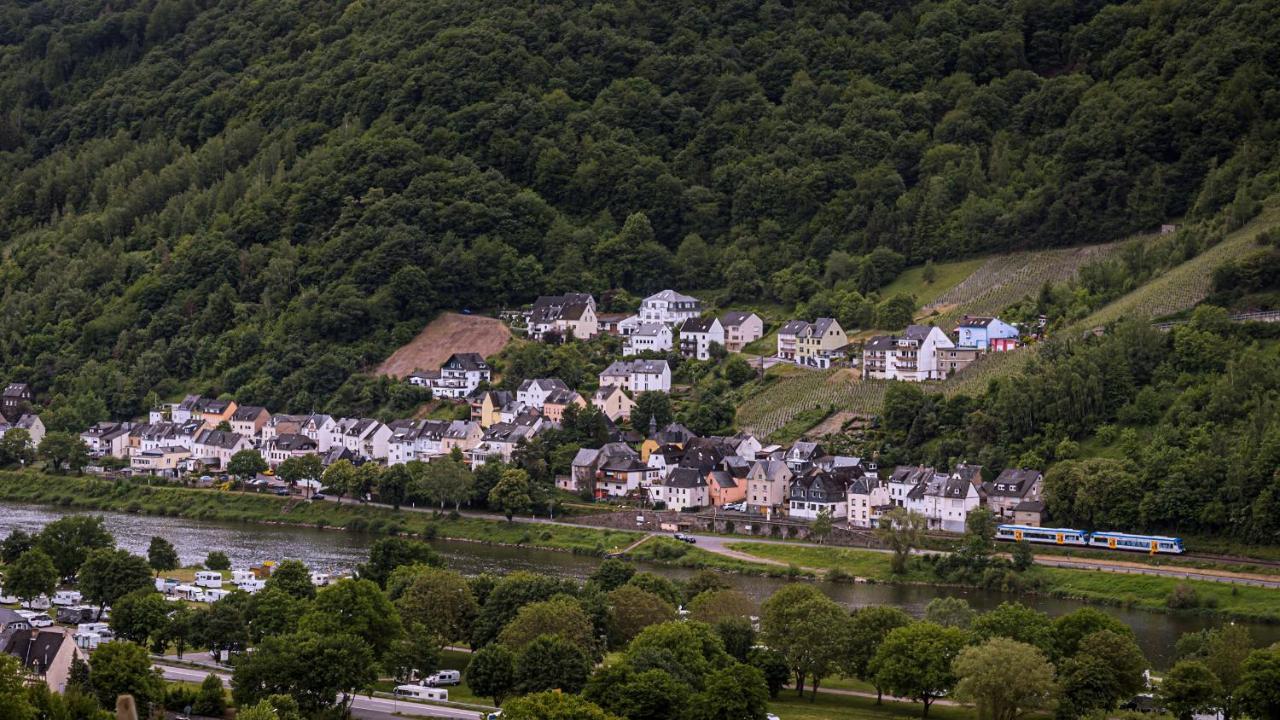Weingut Christoffel Apartment Kövenig Екстериор снимка