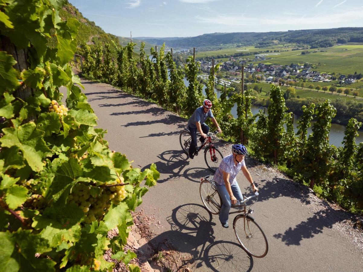 Weingut Christoffel Apartment Kövenig Екстериор снимка