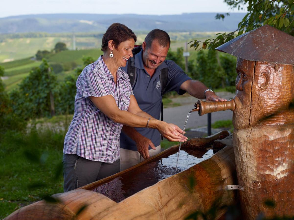 Weingut Christoffel Apartment Kövenig Екстериор снимка