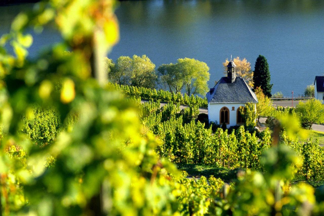 Weingut Christoffel Apartment Kövenig Екстериор снимка